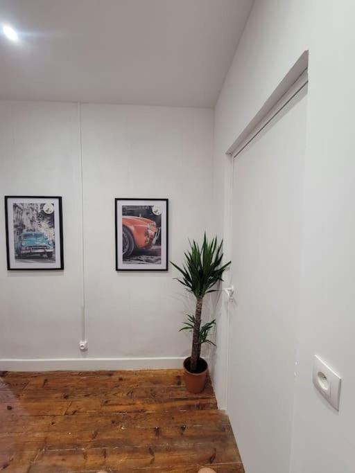 Appartement De Charme Avec Tomettes Et Parquet Graulhet Экстерьер фото